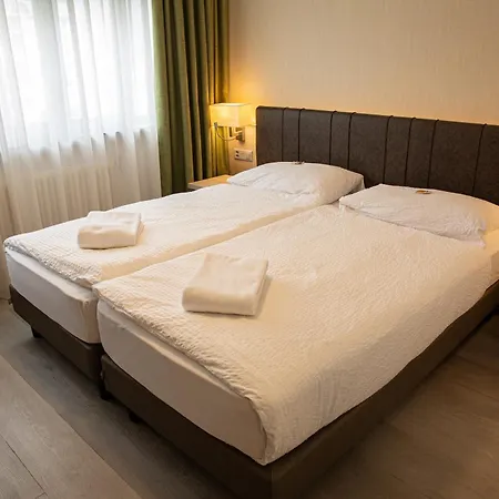 Hotel Nessi Locarno 3* Locarno