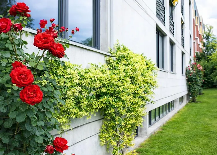 Nessi 3* Локарно